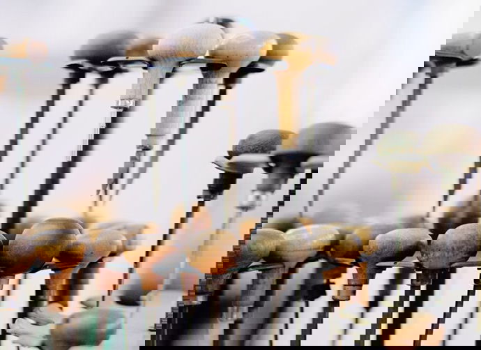 </colgroup>
A MESSAGE FOR
ETERNITY</td>
</tr>
</tbody></table>